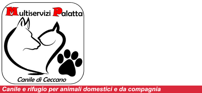 Logo di Multiservizi Palatta Società Cooperativa Sociale